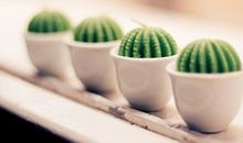 双鱼座未来一年运势（2013年3月-2014年2月）