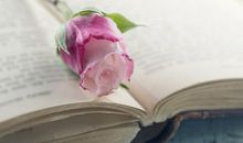 狂月今日星座运势（2017年11月22日）