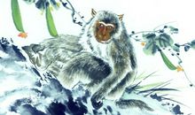 2013蛇年生肖运势开运详解(生肖猴)