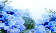 最塔罗今日星座运势（2017年11月21日）