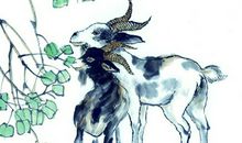 2013蛇年生肖运势开运详解(生肖羊)