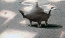 稳稳拿下处女座男生的招式