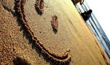 马礼华十二生肖2013年桃花运程