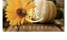 紫破相对的命局