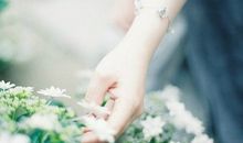 Julia Chen天秤座2017年8月运势