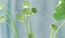 巨蟹座与金牛座有什么共同点