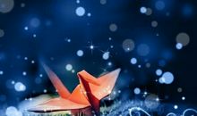 Miss A Tarot一周星座运势(2014.6.3-6.9)