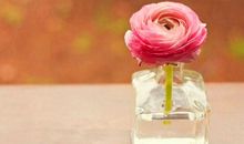 佩妮一周星座运势(2014.6.2-6.8)