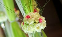 玛丽亚-德西蒙尼十二星座爱情周运（2014.6.2-6.8）