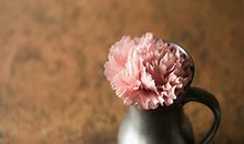 太当真，总把暧昧当真爱的星座