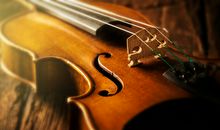 海百合今日星座运势（2017年10月12日）