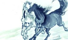 2013蛇年生肖运势开运详解(生肖马)