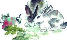 2013蛇年生肖运势开运详解(生肖兔)