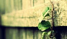 氧气占星一周运势(2014.6.16-6.22)