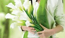 来自民间的十二生肖婚配歌诀