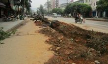 塔罗圣境本周行星预报2012年4月4~10日