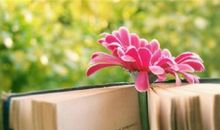 苏珊米勒2017年6月处女座运势完整版