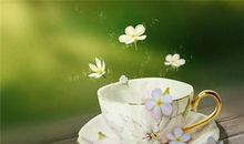 柒爸天蝎座一周运势（5.28-6.3）