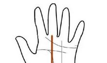 手相看你的事业能有多大成就