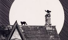 竹猫星球本周星座运势2012年5月21—27日