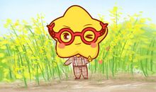 2019下半年双鱼座的爱情运好不好