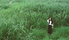 占星骑士一周职场运势（2014.8.4-8.10)