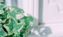 Eskey:白羊座一周运势（5.7-5.13）