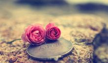 Alex射手座2018年4月运势