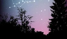 火星星座落在双鱼座