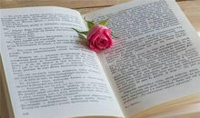 柒爸水瓶座一周运势（5.28-6.3）