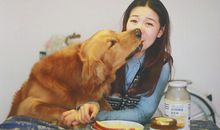 保罗-韦德星座周运(2014.8.7-8.13)