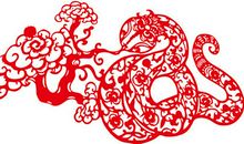 2001年是什么生肖年，2001年属什么生肖