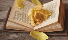 柒爸摩羯座一周运势（5.28-6.3）