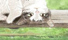 天蝎座男夺人妻的机率