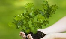 黛比·弗兰克一周星座运势(2014.8.19-8.25)