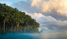 克里斯汀一周星座运势 （12.26-1.1）