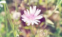 柒爸处女座一周运势（5.28-6.3）