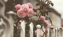 Alex处女座2018年4月运势