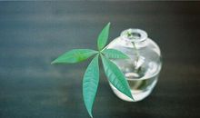 VOGUE一周性最运势（2014.8.17-8.23）