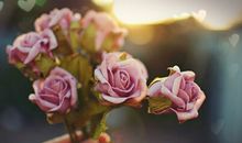 玛法达一周星座运势（2014.8.21-8.27）