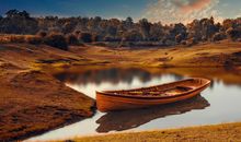 属牛的文昌位在哪个方向