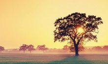 Eskey:狮子座一周运势（5.7-5.13）