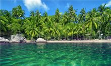 Julia Chen 2015年6月天蝎座运势