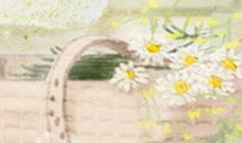 如何使处女座生活阴转晴？