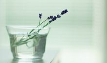 水蓝色眼泪2016年12月天秤座运势