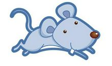 2008年属鼠的人2020年运势大全及破解