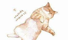 天蝎座自毁幸福的举动