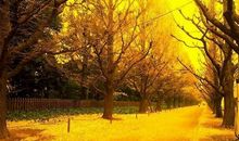 alex星座运势（2014.9.1-9.7）