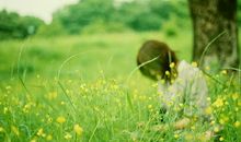 玛利亚2015年6月十二星座运势