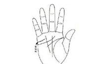 晚婚的手相特征